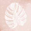 Blush Fern III Poster Print by House Fenway House Fenway # FEN151