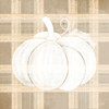 Plaid Pumpkin I Poster Print by House Fenway House Fenway # FEN162