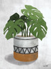 Monstera Plant Poster Print by House Fenway House Fenway # FEN113
