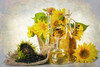 Sunflowers Seeds and Oil Poster Print by Ronald Bolokofsky # FAS2285