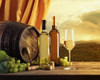 White Wines of Tuscany Poster Print by Ronald Bolokofsky # FAS2295