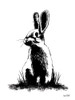 Farmhouse Rabbit Poster Print by House Fenway House Fenway # FEN120