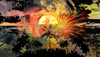 Tropical Fireworks Poster Print by Ronald Bolokofsky # FAS2261