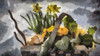 Flower Basket V Poster Print by Ronald Bolokofsky # FAS2269