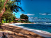 On the Beach in Kauai Poster Print by Ronald Bolokofsky # FAS2232