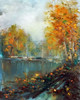 Foggy Day Poster Print by Ronald Bolokofsky # FAS2200