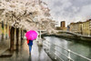 Pink Umbrella Poster Print by Ronald Bolokofsky # FAS2118