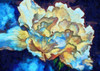 Summer Bloom I Poster Print by Ronald Bolokofsky # FAS1847