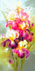Fresh Bloom I Poster Print by Ronald Bolokofsky # FAS1846