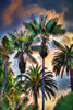 Palm Haven Poster Print by Ronald Bolokofsky # FAS2006