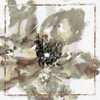 Calyx I Poster Print by Ronald Bolokofsky # FAS1868