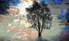 Break of Day Poster Print by Ronald Bolokofsky # FAS1529