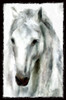Trigger II Poster Print by Ronald Bolokofsky # FAS1338