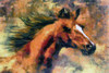 Runner Poster Print by Ronald Bolokofsky # FAS1270