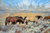 Grazing On the Grass Poster Print by Ronald Bolokofsky # FAS1295