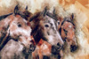 Horse Trio Poster Print by Ronald Bolokofsky # FAS1302