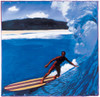 Hang Ten Poster Print by Unknown Unknown # F102051