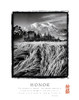 Honor Poster Print by Unknown Unknown # F101707