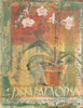 Potted White II Poster Print by Unknown Unknown # F100896