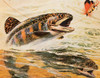 Trout and Fly Poster Print by Unknown Unknown # F101831