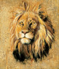 Lion Poster Print by Unknown Unknown # F101394