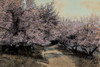 Apple Blossoms I Poster Print by Unknown Unknown # F101398
