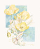Poppies Yellow Pastel II Poster Print by Unknown Unknown # F101252