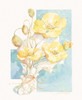 Poppies Yellow Pastel I Poster Print by Unknown Unknown # F101251