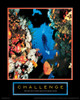 Challenge - Diver Poster Print by Unknown Unknown # F101555