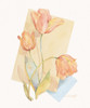 Tulip Pastel Collage II Poster Print by Unknown Unknown # F101246