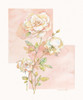Rose Pastel Collage I Poster Print by Unknown Unknown # F101247