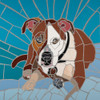 Pit Bull Portrait I Poster Print by Jonathan Mandell # FAF1531