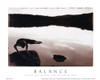 Balance - Yoga Poster Print by Unknown Unknown # F102168