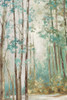 Deep Forest  Poster Print by Eva Watts # EW602A