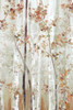 Birch Wood II  Poster Print by Eva Watts # EW599A