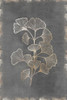 Gilded Botanical II  Poster Print by Eva Watts # EW549A