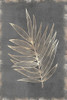 Gilded Botanical I Poster Print by Eva Watts # EW548A