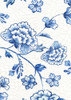 Rare and Delicate II Poster Print by Eva Watts # EW479A