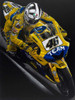 Rossi Poster Print by Todd Strothers # DT114619