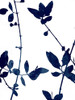Nature Indigo Blue III Poster Print by Danielle Carson # DLC116592
