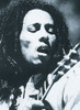 Bob II Poster Print by Unknown Unknown # DC80