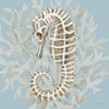 Coral Seahorse II Poster Print by Cindy Jacobs # CIN2292