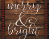 Merry and Bright    Poster Print by Cindy Jacobs # CIN1904