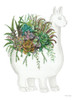 Proud Llama Pot I Poster Print by Cindy Jacobs # CIN1935