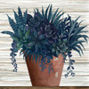 Remarkable Succulents II Poster Print by Cindy Jacobs # CIN1951