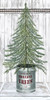 Galvanized Pot Fir Poster Print by Cindy Jacobs # CIN1774