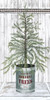 Galvanized Pot Pine Poster Print by Cindy Jacobs # CIN1775