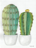 Cactus Love      Poster Print by Cindy Jacobs # CIN1533