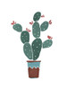 Cactus 1 Poster Print by Braun Studio Braun Studio # C271