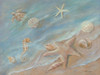 Seashore Star I Poster Print by Pam Britton # BR509